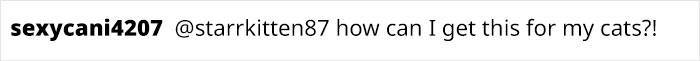 This Cat Received His Very Own Custom-Made Aquarium That Allows Him To Safely Watch And Interact With Fish This Cat Received His Very Own Custom-Made Aquarium That Allows Him To Safely Watch And Interact With Fish
