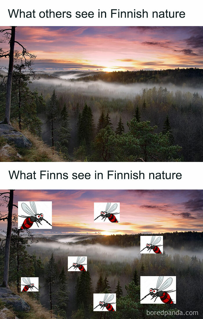 50 ‘Finland Memes’ That Might Inspire You To Live In The Happiest Country In The World 50 ‘Finland Memes’ That Might Inspire You To Live In The Happiest Country In The World