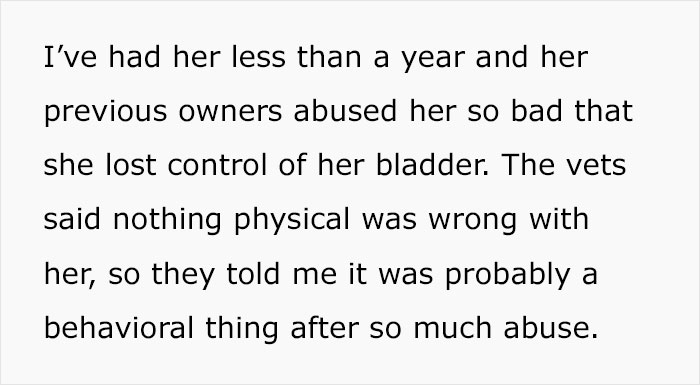 14 Heartwarming Instances Of Rescue Dogs Building Trust With Their Humans, Shared In This Online Thread 14 Heartwarming Instances Of Rescue Dogs Building Trust With Their Humans, Shared In This Online Thread