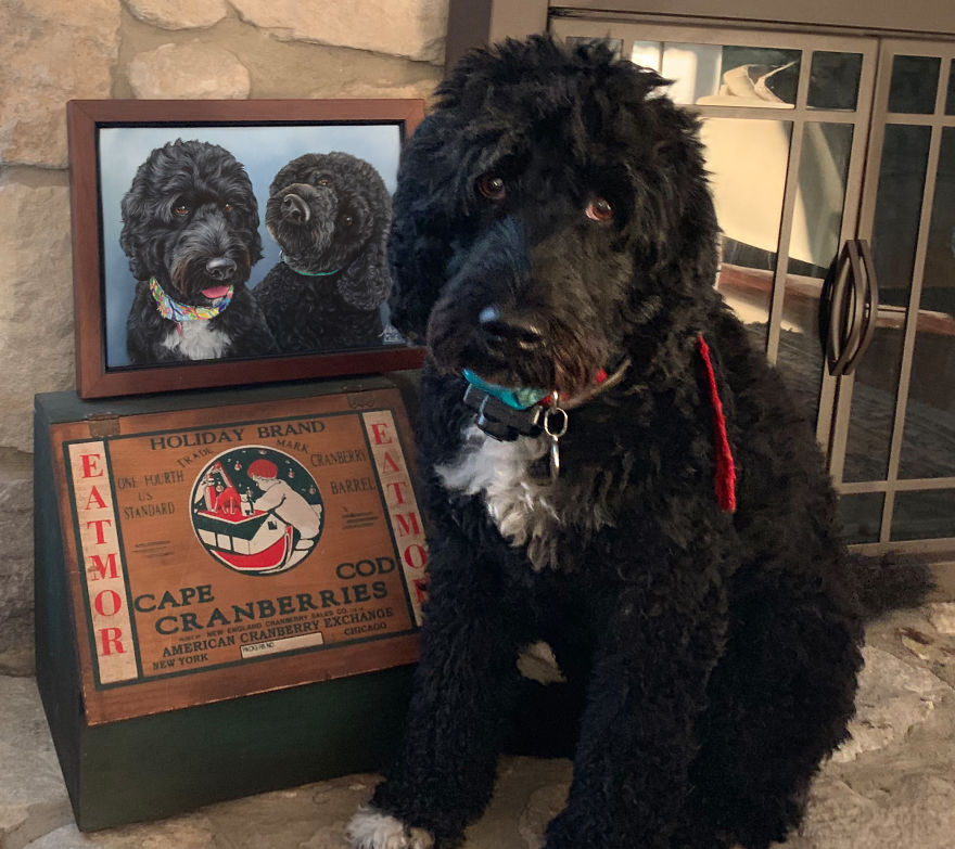 24 New Pictures Of Pets Next To Their Portraits That I&#8217;ve Painted