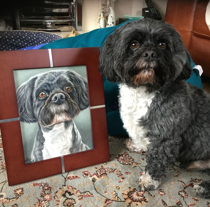 24 New Pictures Of Pets Next To Their Portraits That I&#8217;ve Painted