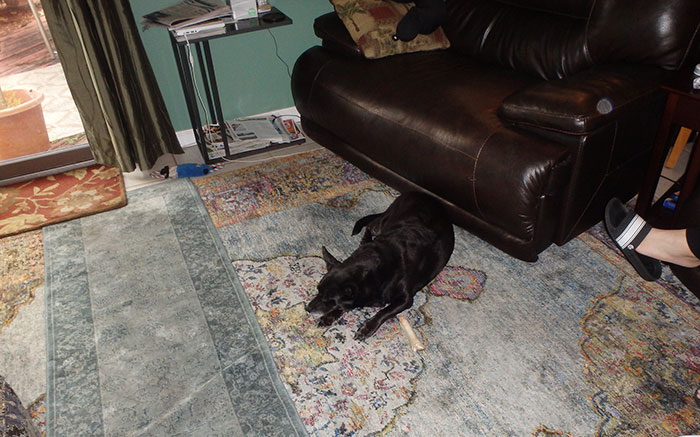 28 Times Employees Did Bizarrely Crazy Things At Work That Folks Online Just Had To Share 28 Times Employees Did Bizarrely Crazy Things At Work That Folks Online Just Had To Share