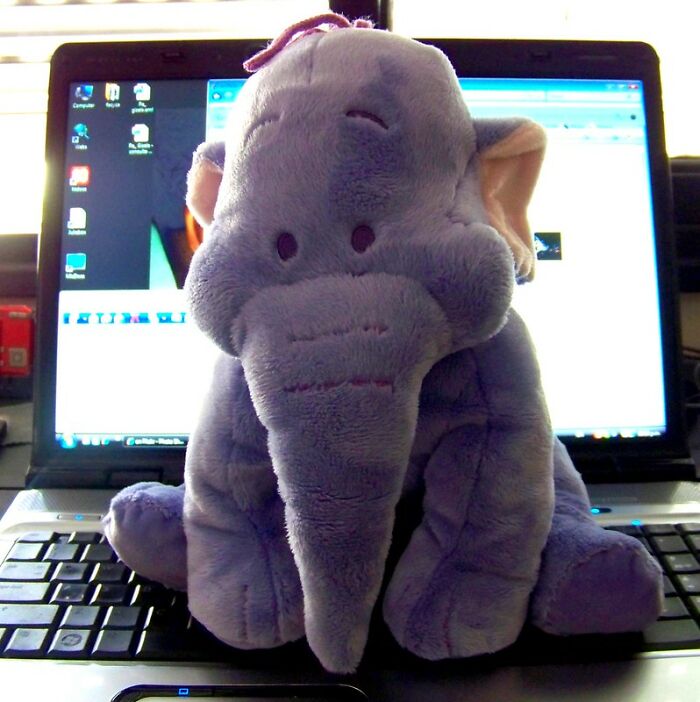 Folks In This Online Group Shared 30 Stories Of Kids Showing Signs They Might Have Lived A Life Before Their Current One Folks In This Online Group Shared 30 Stories Of Kids Showing Signs They Might Have Lived A Life Before Their Current One