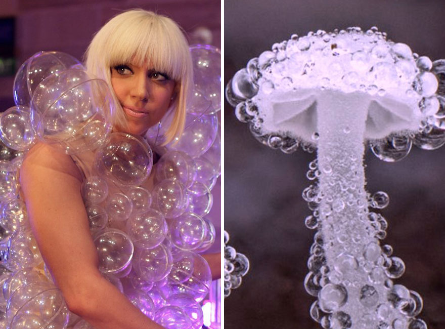 This Girl Is Comparing Lady Gaga’s Looks To Mushrooms, And The Resemblance Is Surprising (20 Pics)
