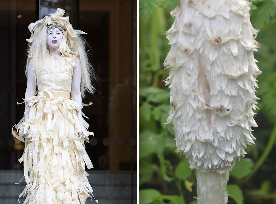 This Girl Is Comparing Lady Gaga’s Looks To Mushrooms, And The Resemblance Is Surprising (20 Pics)