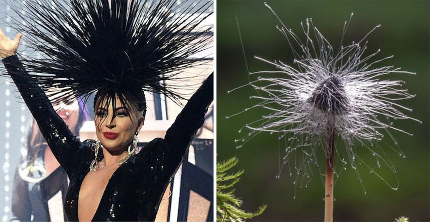 This Girl Is Comparing Lady Gaga’s Looks To Mushrooms, And The Resemblance Is Surprising (20 Pics)