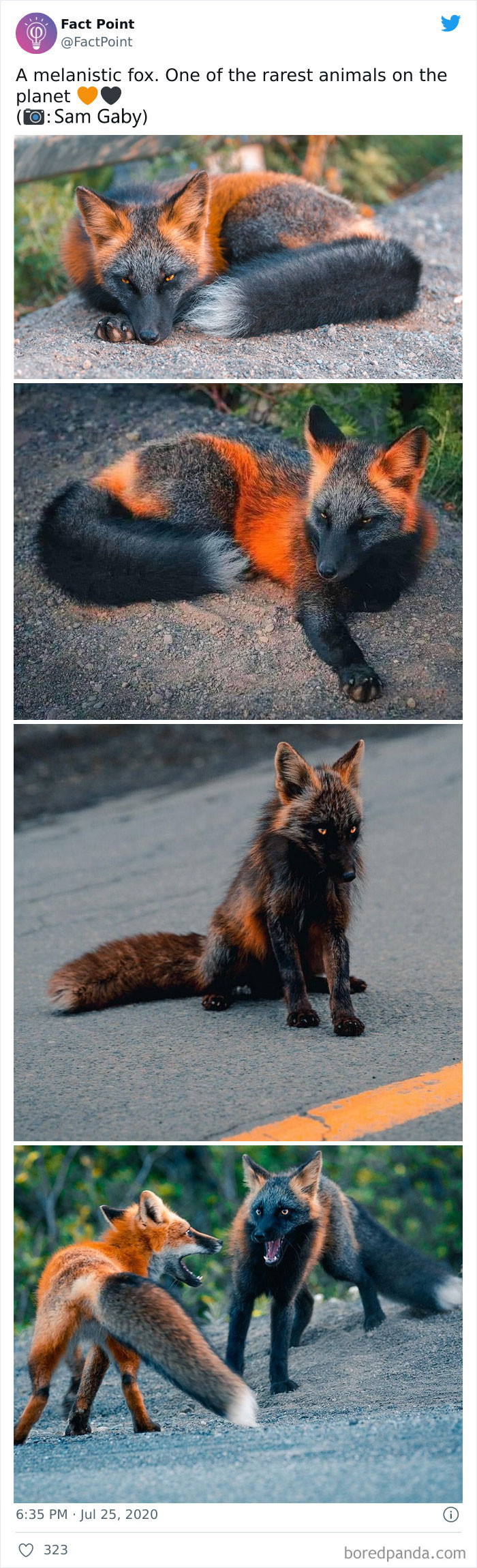 40 Interesting Facts About Practically Everything You Might Not Have Known, Shared By “Fact Point” 40 Interesting Facts About Practically Everything You Might Not Have Known, Shared By “Fact Point”