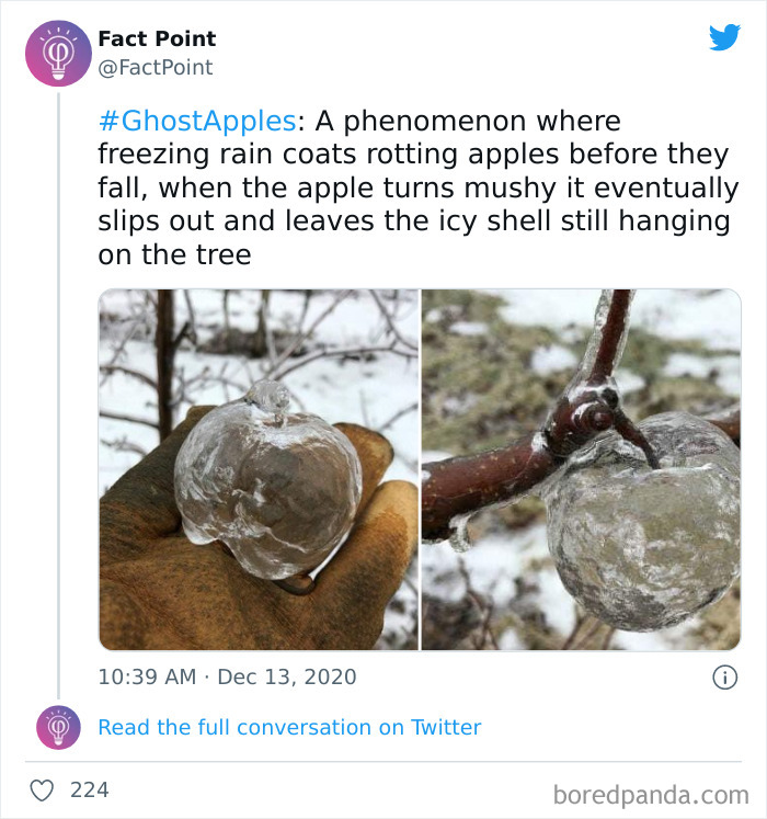 40 Interesting Facts About Practically Everything You Might Not Have Known, Shared By “Fact Point” 40 Interesting Facts About Practically Everything You Might Not Have Known, Shared By “Fact Point”