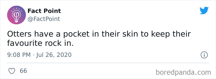 40 Interesting Facts About Practically Everything You Might Not Have Known, Shared By “Fact Point” 40 Interesting Facts About Practically Everything You Might Not Have Known, Shared By “Fact Point”