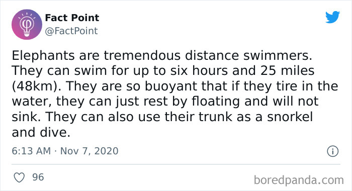 40 Interesting Facts About Practically Everything You Might Not Have Known, Shared By “Fact Point” 40 Interesting Facts About Practically Everything You Might Not Have Known, Shared By “Fact Point”