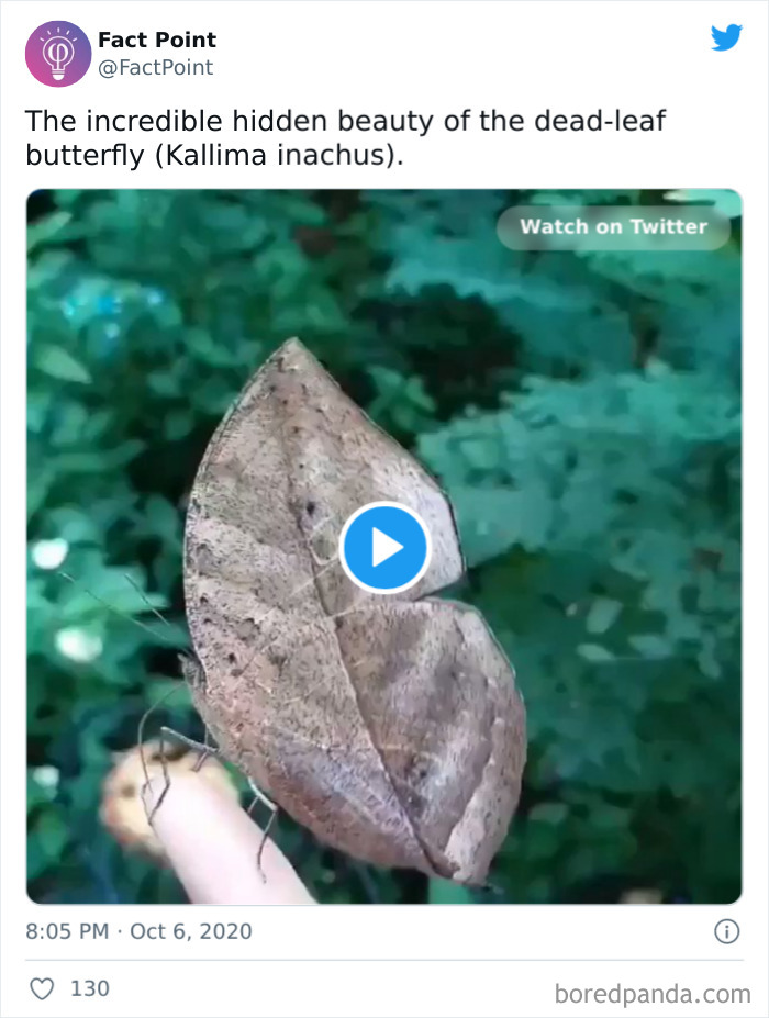 40 Interesting Facts About Practically Everything You Might Not Have Known, Shared By “Fact Point” 40 Interesting Facts About Practically Everything You Might Not Have Known, Shared By “Fact Point”