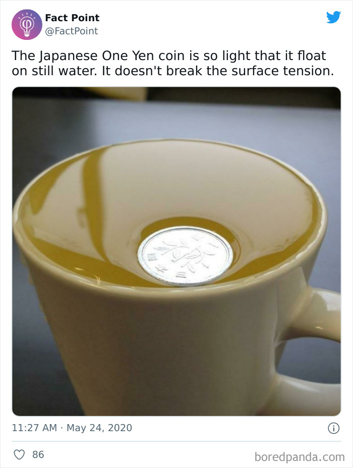 40 Interesting Facts About Practically Everything You Might Not Have Known, Shared By “Fact Point” 40 Interesting Facts About Practically Everything You Might Not Have Known, Shared By “Fact Point”