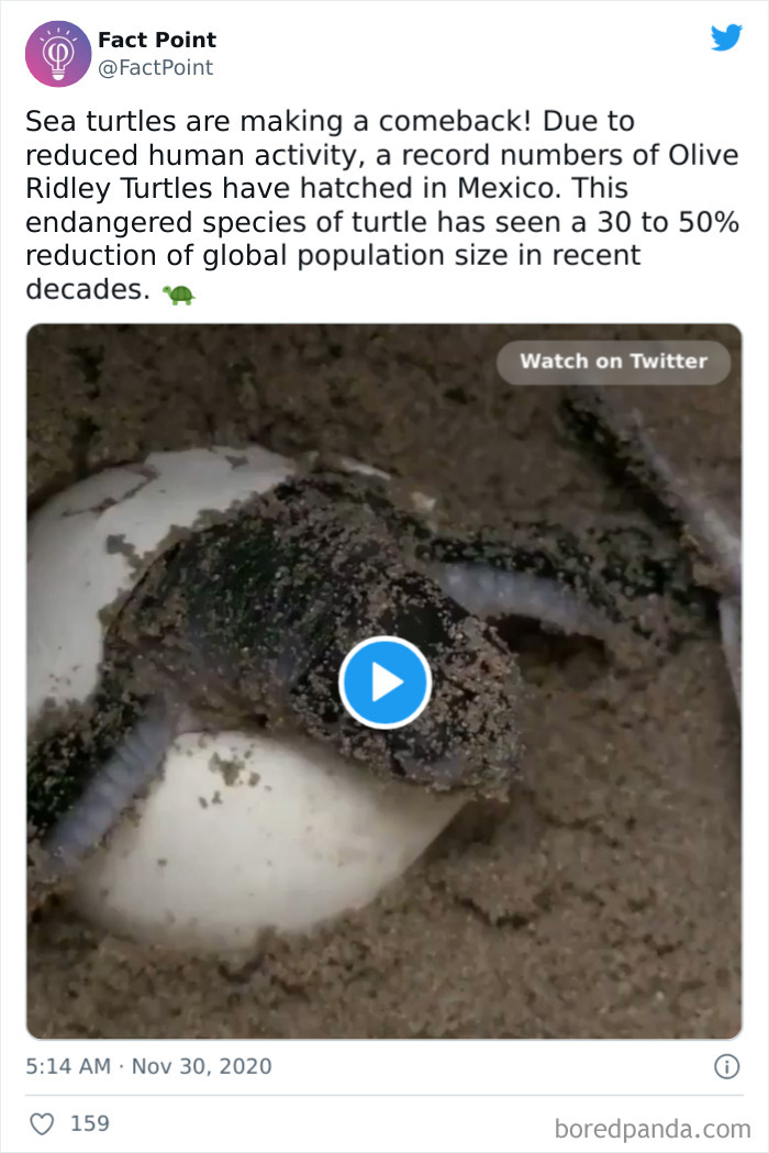 40 Interesting Facts About Practically Everything You Might Not Have Known, Shared By “Fact Point” 40 Interesting Facts About Practically Everything You Might Not Have Known, Shared By “Fact Point”