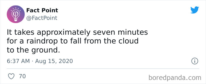 40 Interesting Facts About Practically Everything You Might Not Have Known, Shared By “Fact Point” 40 Interesting Facts About Practically Everything You Might Not Have Known, Shared By “Fact Point”