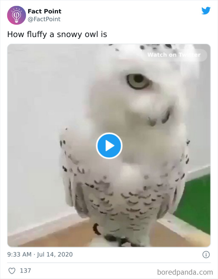 40 Interesting Facts About Practically Everything You Might Not Have Known, Shared By “Fact Point” 40 Interesting Facts About Practically Everything You Might Not Have Known, Shared By “Fact Point”