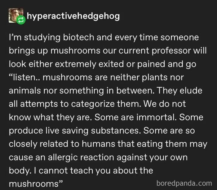“You Are Being Rescued, Do Not Resist”: 40 Of The Best Ominous Positivity Posts From This Online Page “You Are Being Rescued, Do Not Resist”: 40 Of The Best Ominous Positivity Posts From This Online Page