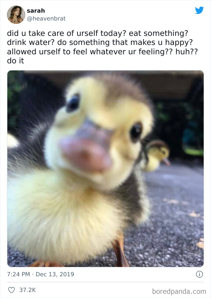 “You Are Being Rescued, Do Not Resist”: 40 Of The Best Ominous Positivity Posts From This Online Page “You Are Being Rescued, Do Not Resist”: 40 Of The Best Ominous Positivity Posts From This Online Page