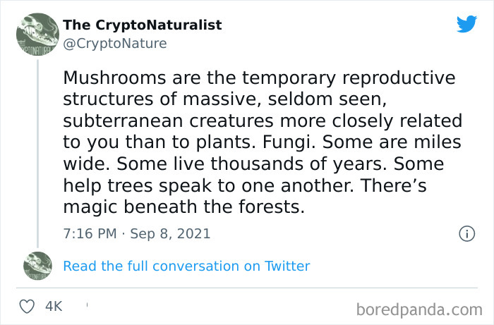 “You Are Being Rescued, Do Not Resist”: 40 Of The Best Ominous Positivity Posts From This Online Page “You Are Being Rescued, Do Not Resist”: 40 Of The Best Ominous Positivity Posts From This Online Page