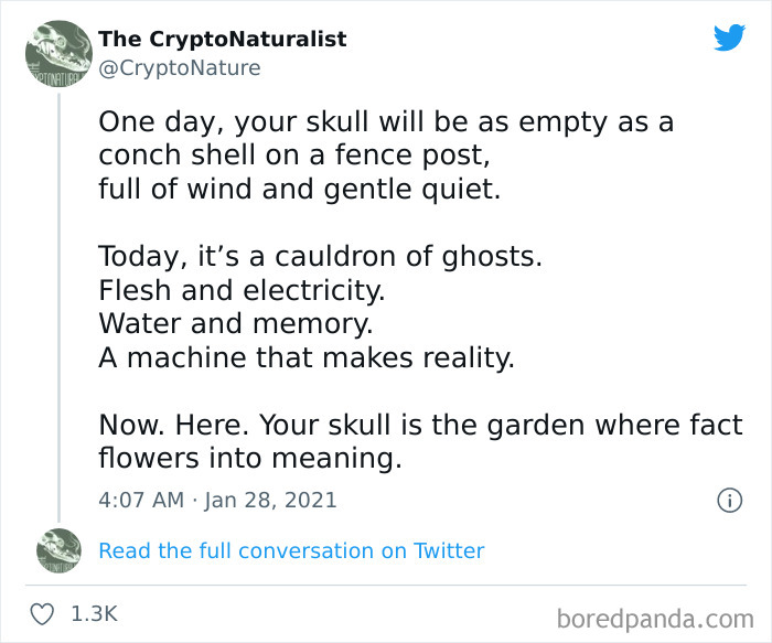 “You Are Being Rescued, Do Not Resist”: 40 Of The Best Ominous Positivity Posts From This Online Page “You Are Being Rescued, Do Not Resist”: 40 Of The Best Ominous Positivity Posts From This Online Page