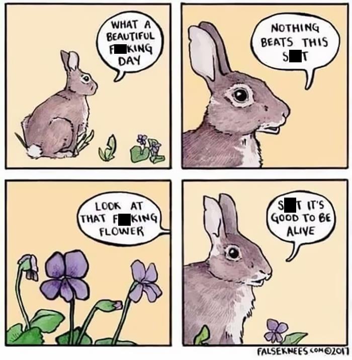 “You Are Being Rescued, Do Not Resist”: 40 Of The Best Ominous Positivity Posts From This Online Page “You Are Being Rescued, Do Not Resist”: 40 Of The Best Ominous Positivity Posts From This Online Page