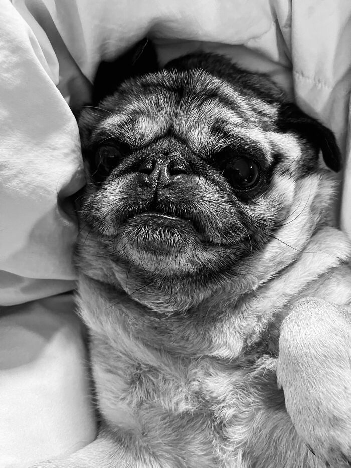 Hey Pandas, Show Your Most Peculiar Camera Save (Closed)