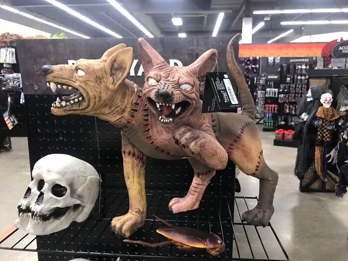 Hey Pandas, Show Your Most Peculiar Camera Save (Closed) Hey Pandas, Show Your Most Peculiar Camera Save (Closed)