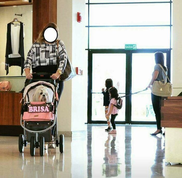 50 Of The Most Ironic Images That Show The Universe Has A Great Sense Of Humor (New Pics) 50 Of The Most Ironic Images That Show The Universe Has A Great Sense Of Humor (New Pics)