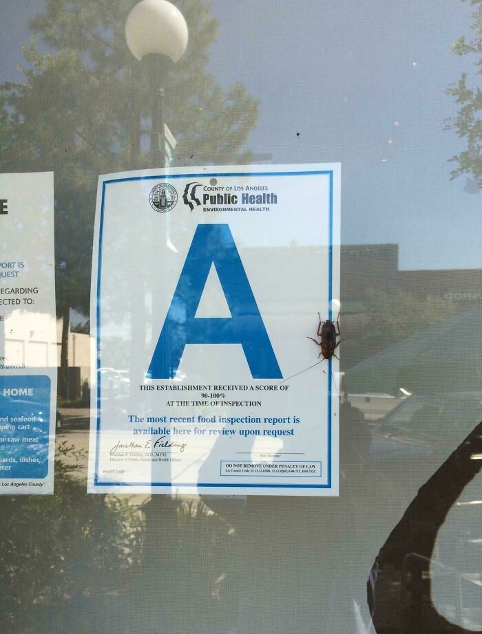 50 Of The Most Ironic Images That Show The Universe Has A Great Sense Of Humor (New Pics) 50 Of The Most Ironic Images That Show The Universe Has A Great Sense Of Humor (New Pics)