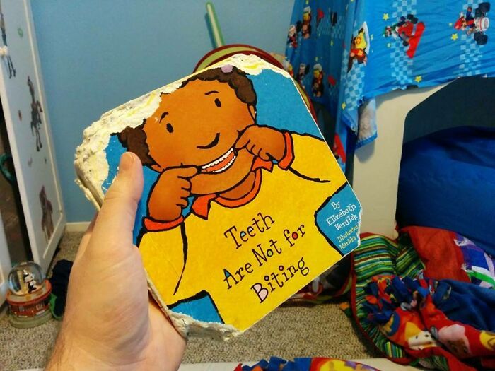 50 Of The Most Ironic Images That Show The Universe Has A Great Sense Of Humor (New Pics) 50 Of The Most Ironic Images That Show The Universe Has A Great Sense Of Humor (New Pics)