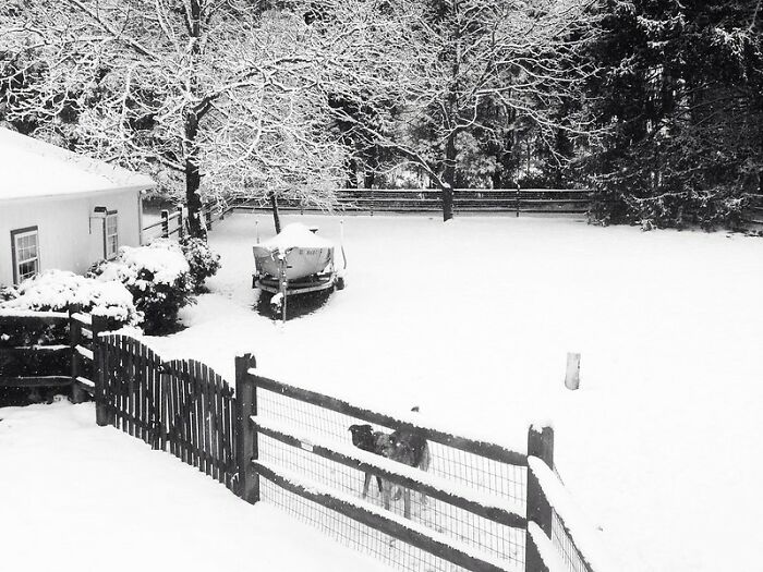 34 Stories About The Worst Things Guests Did, Told By Users Of This Online Community