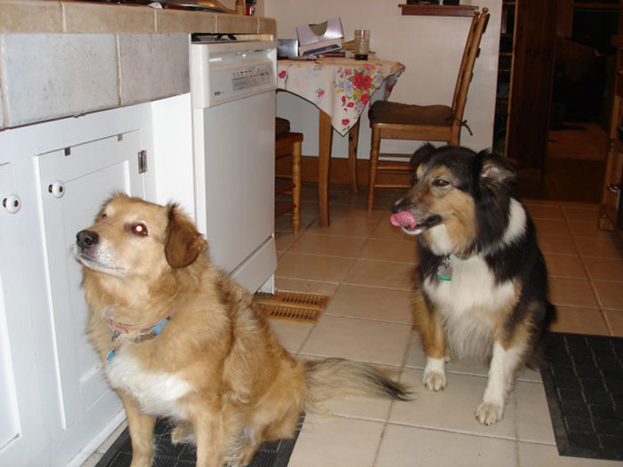 34 Stories About The Worst Things Guests Did, Told By Users Of This Online Community