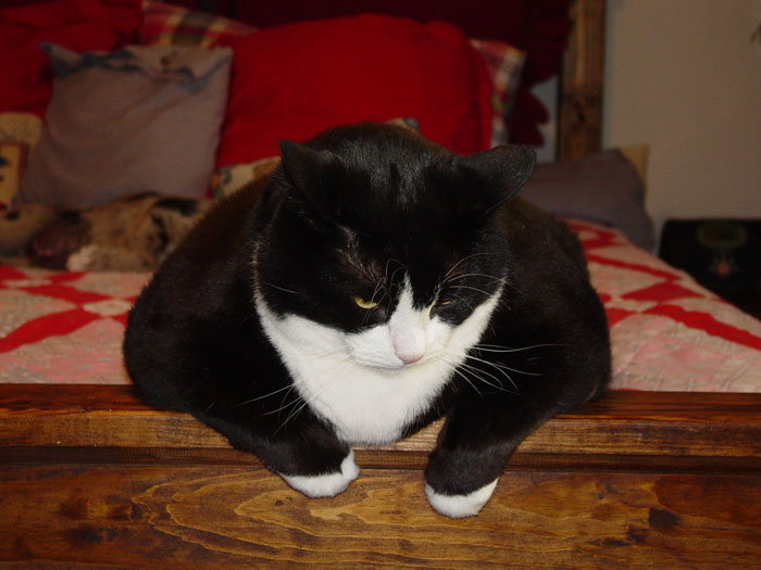 30 People In This Online Group List Things That Have A Much Darker Reality Than One Might Think 30 People In This Online Group List Things That Have A Much Darker Reality Than One Might Think