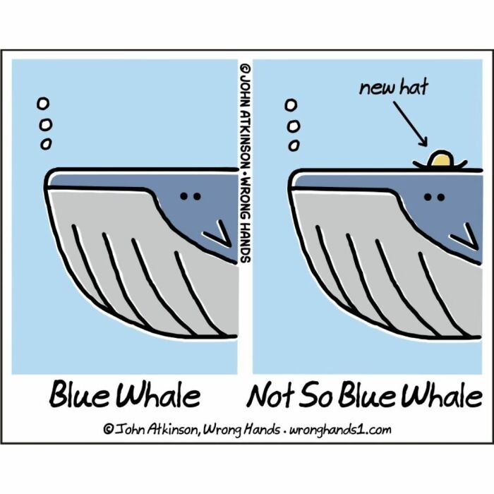 This Artist Makes Witty And Funny Cartoons About Science, Literature, Pop Culture, And Many Other Things (30 New Pics) This Artist Makes Witty And Funny Cartoons About Science, Literature, Pop Culture, And Many Other Things (30 New Pics)