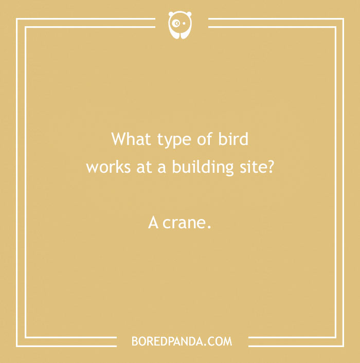 160 Bird Puns That Are Positively Owl-some