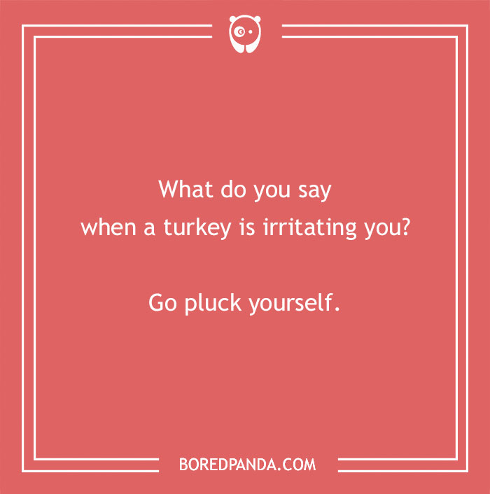 160 Bird Puns That Are Positively Owl-some