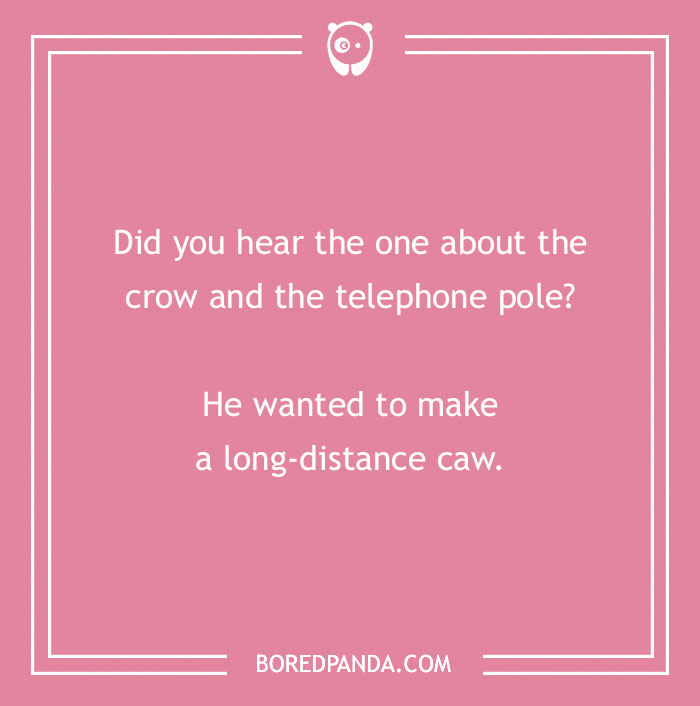 160 Bird Puns That Are Positively Owl-some