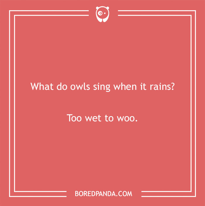 160 Bird Puns That Are Positively Owl-some