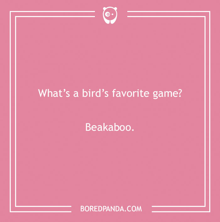 160 Bird Puns That Are Positively Owl-some