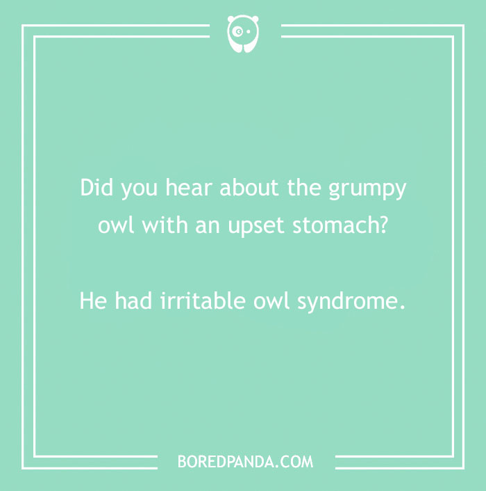 160 Bird Puns That Are Positively Owl-some