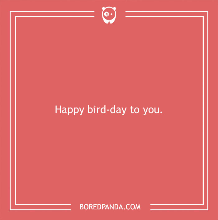 160 Bird Puns That Are Positively Owl-some