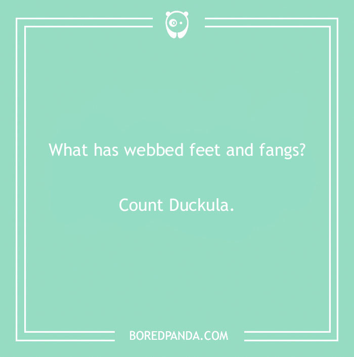 160 Bird Puns That Are Positively Owl-some