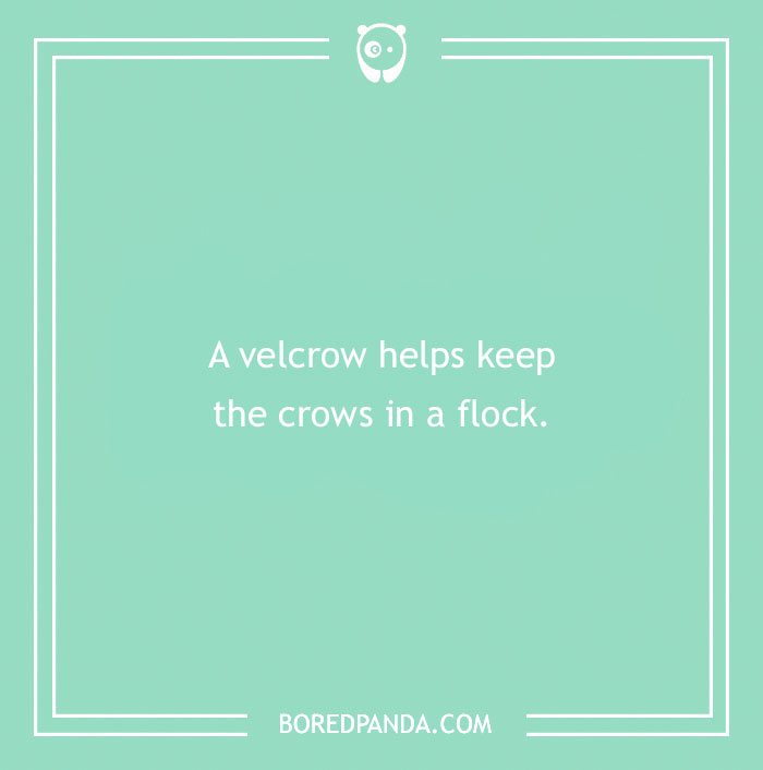 160 Bird Puns That Are Positively Owl-some