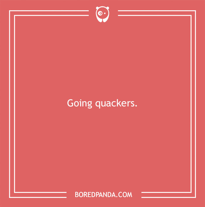 160 Bird Puns That Are Positively Owl-some