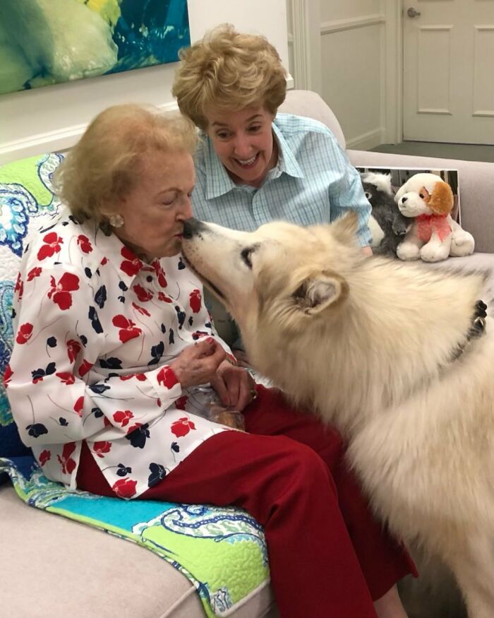 30 People Who Hardly Have Any Haters, As Shared By Folks In This Online Community 30 People Who Hardly Have Any Haters, As Shared By Folks In This Online Community