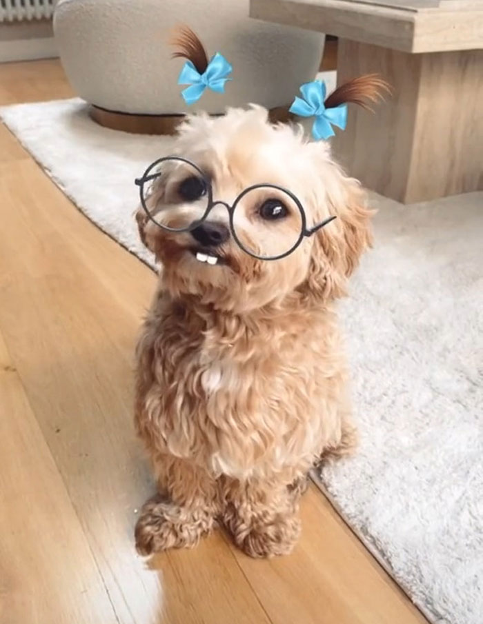 33 Things Society Has Made Us Believe Are “Necessities” But People In This Online Group Argue They Are Addictions 33 Things Society Has Made Us Believe Are “Necessities” But People In This Online Group Argue They Are Addictions