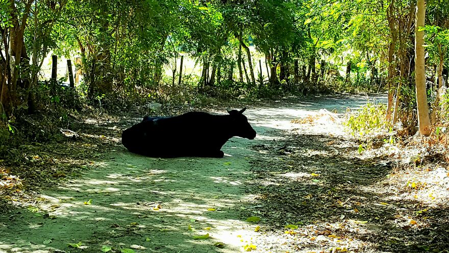 20 More Photos From My Mexico Trip 20 More Photos From My Mexico Trip