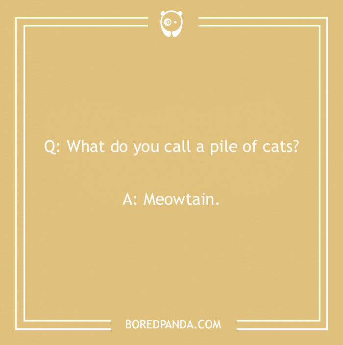 152 Funniest &#8216;What Do You Call?&#8217; Jokes