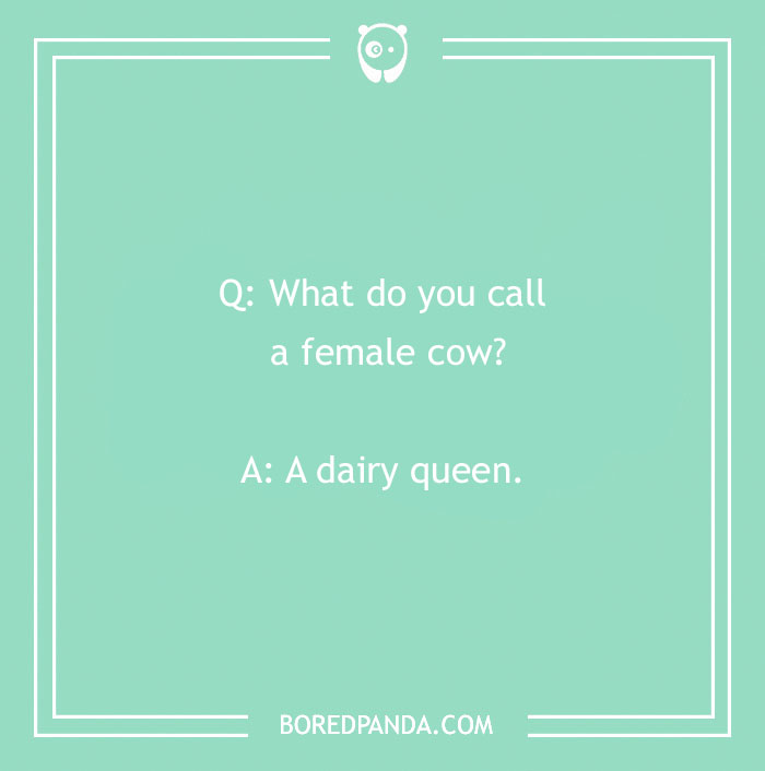152 Funniest &#8216;What Do You Call?&#8217; Jokes