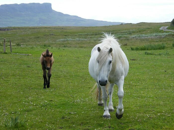 Someone Online Asked, &ldquo;Who Is The Most Famous Person In Your Family?&rdquo;, And 30 Delivered