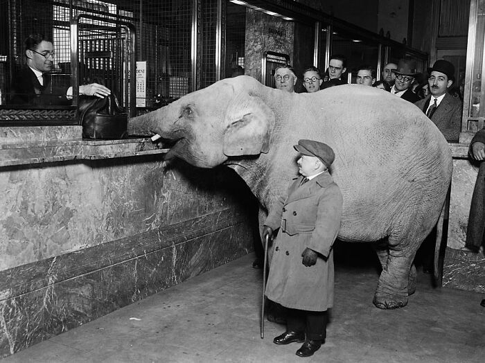 Someone Online Asked, &ldquo;Who Is The Most Famous Person In Your Family?&rdquo;, And 30 Delivered